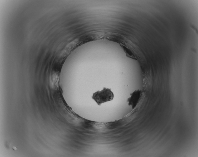 X0000101660142200807241426