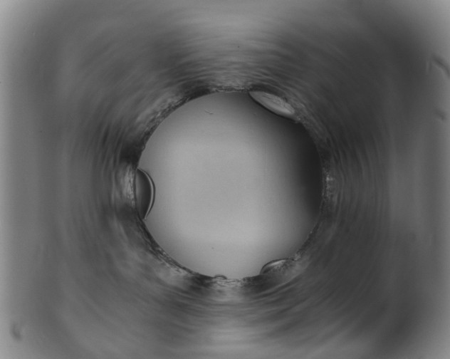 X0000101660143200807241426