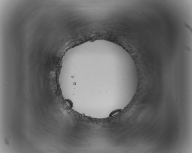 X0000101660144200807241426