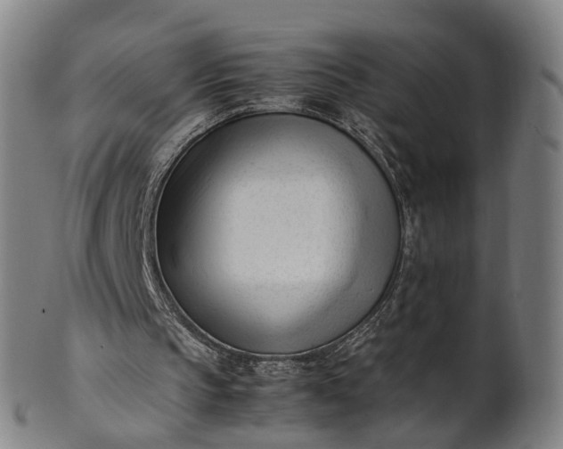 X0000101660145200807241425