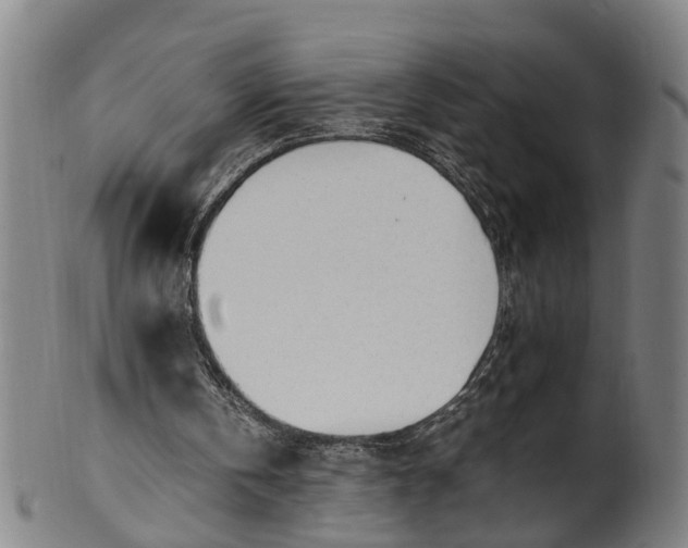 X0000101660146200807241425