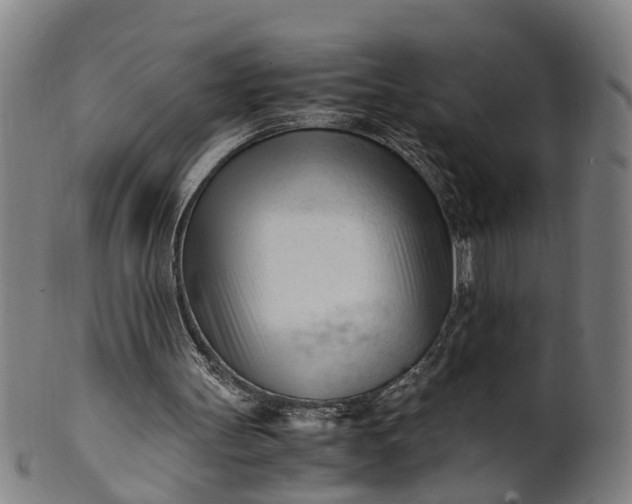 X0000101660147200807241425