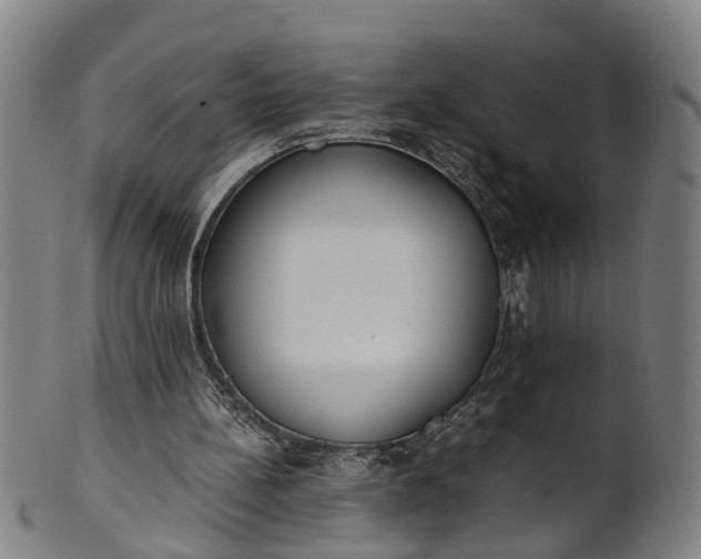 X0000101660148200807241425