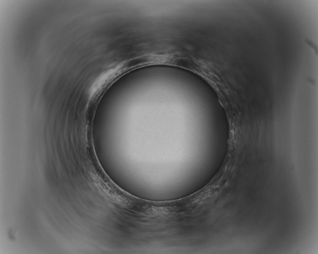 X0000101660149200807241425