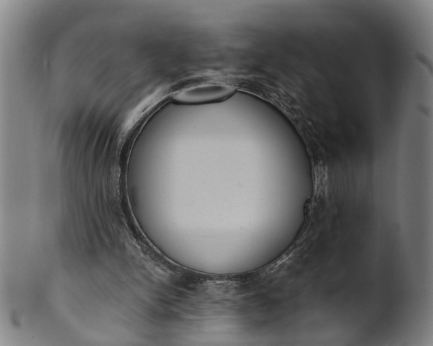 X0000101660150200807241425