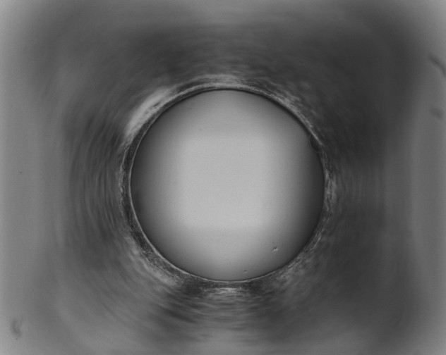 X0000101660151200807241425