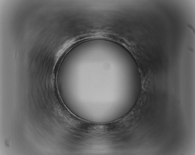 X0000101660152200807241425