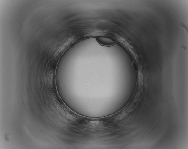 X0000101660153200807241425