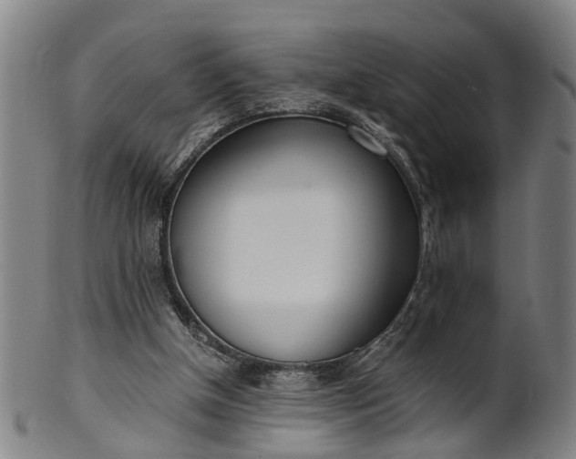 X0000101660154200807241425