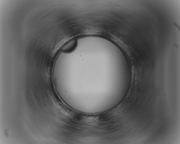 X0000101660155200807241425