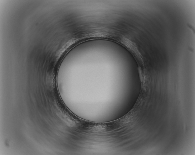 X0000101660156200807241425