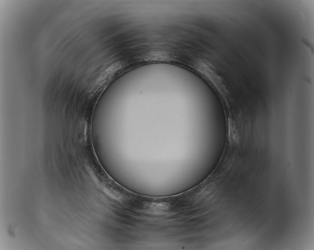 X0000101660157200807241425