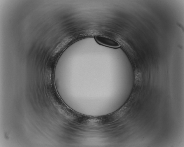 X0000101660158200807241425