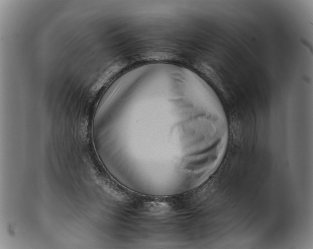 X0000101660159200807241425