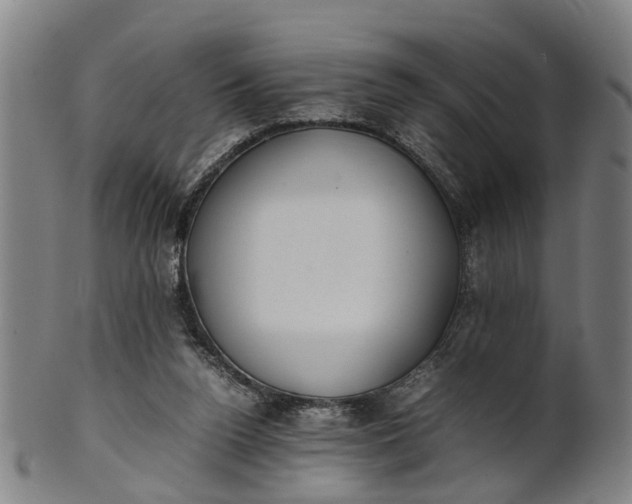 X0000101660160200807241425