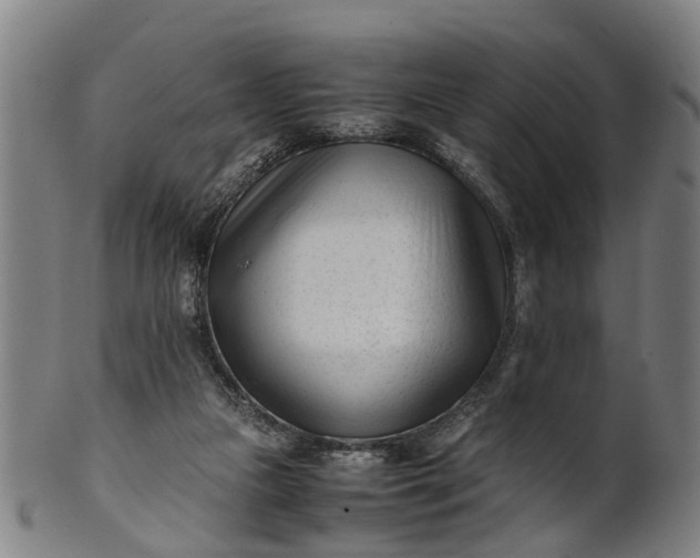 X0000101660161200807241425