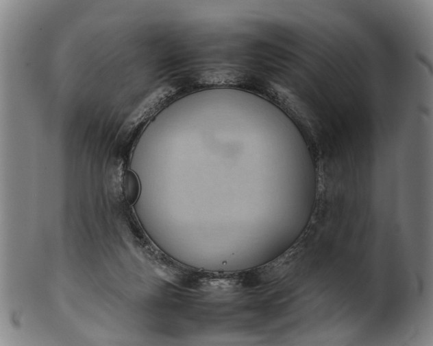 X0000101660163200807241425