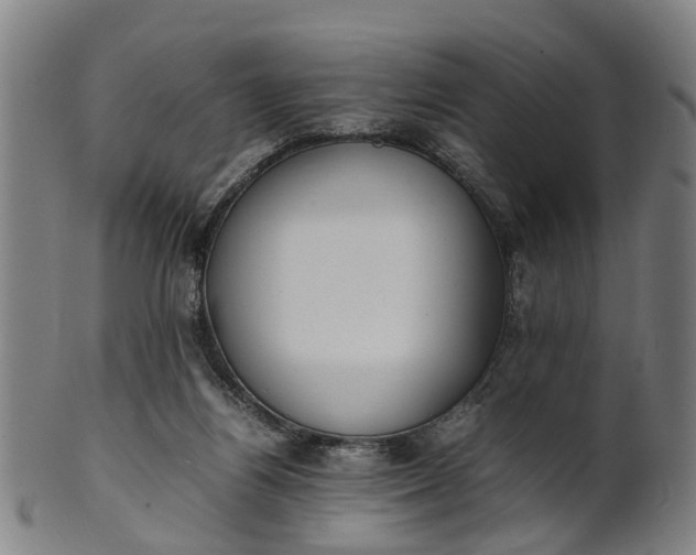 X0000101660164200807241425