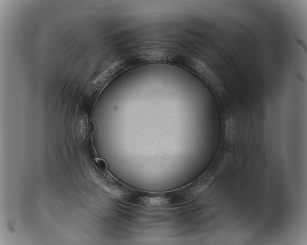 X0000101660165200807241425