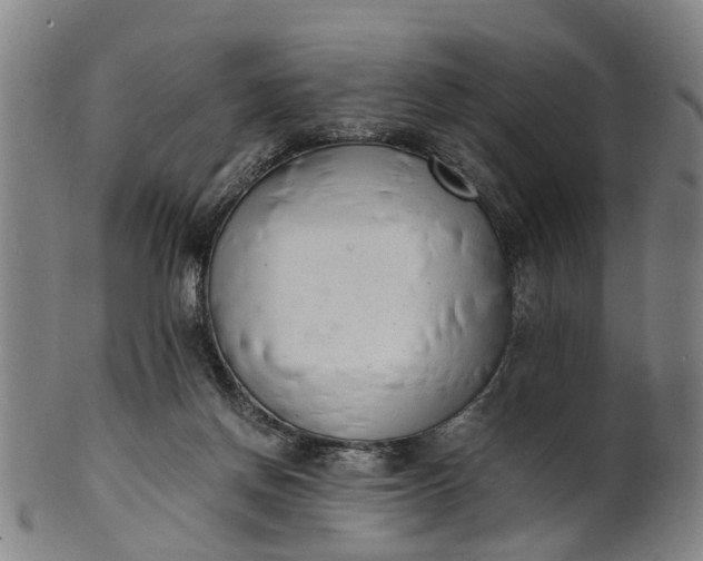 X0000101660166200807241425