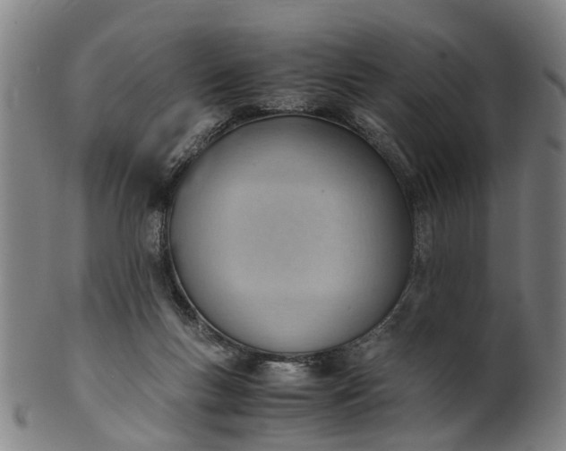 X0000101660167200807241425