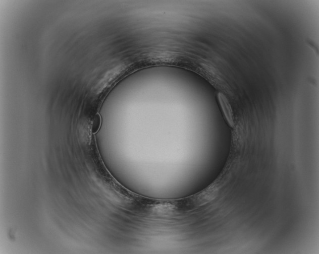 X0000101660168200807241425