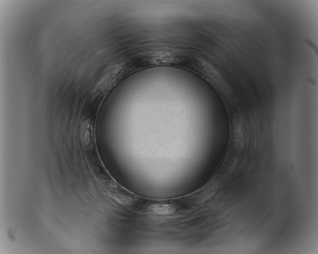 X0000101660169200807241425