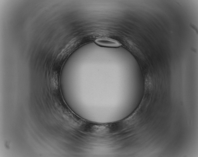 X0000101660170200807241425