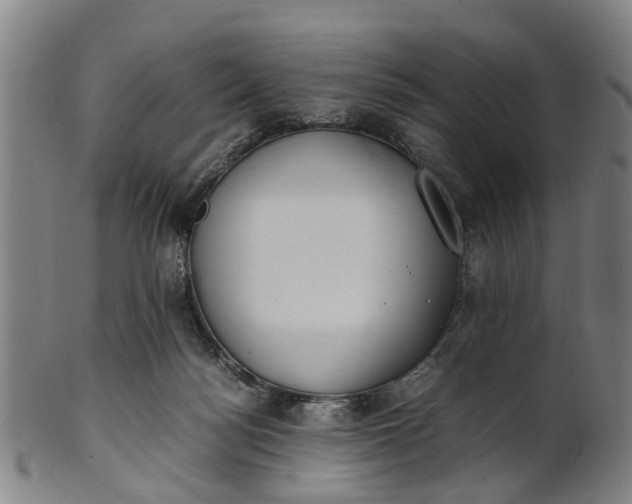 X0000101660172200807241426