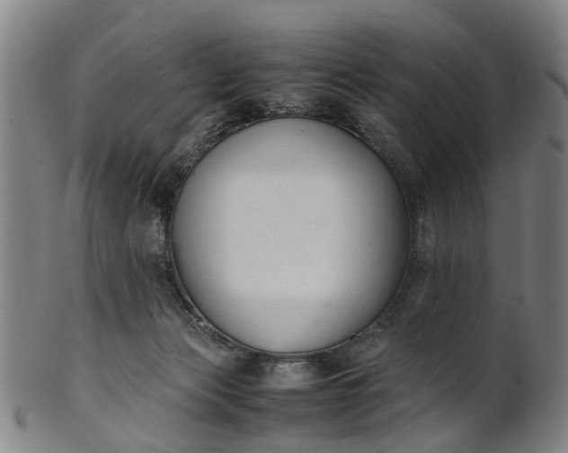 X0000101660173200807241426