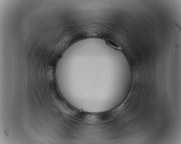 X0000101660174200807241426