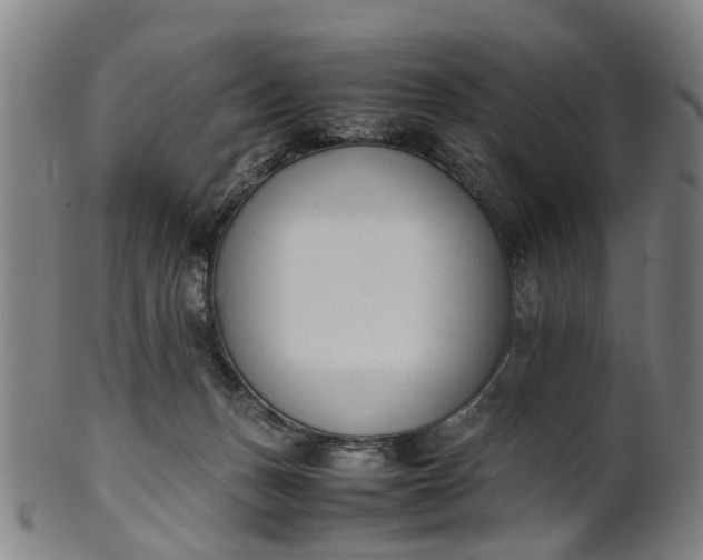 X0000101660175200807241426