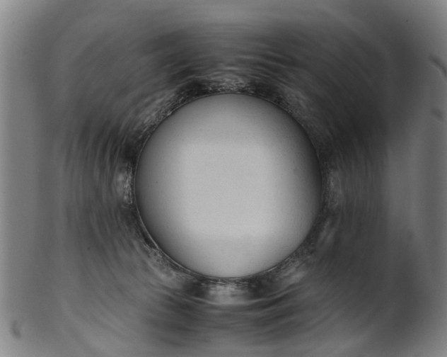 X0000101660177200807241426