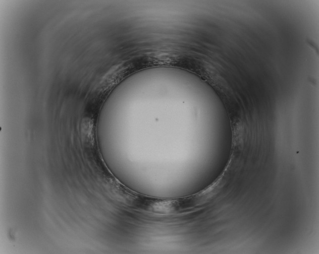 X0000101660178200807241426