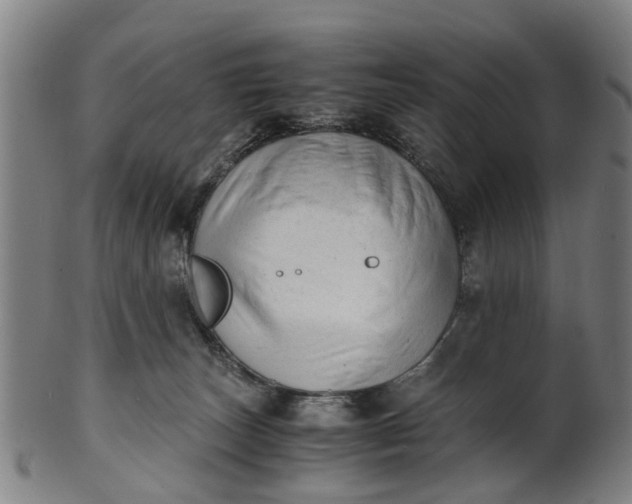 X0000101660179200807241426