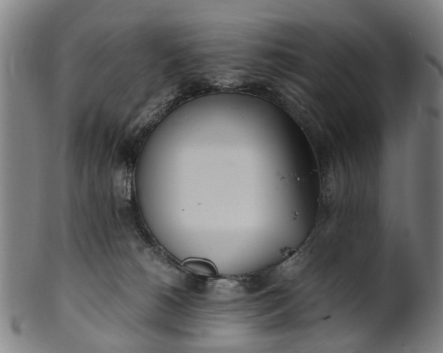 X0000101660180200807241426