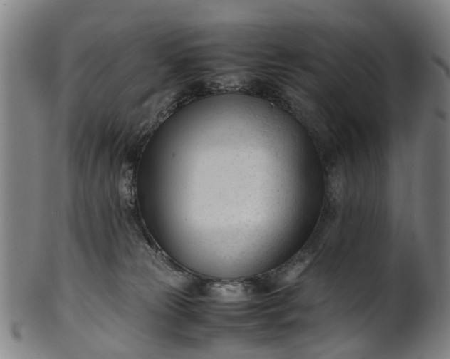 X0000101660181200807241426