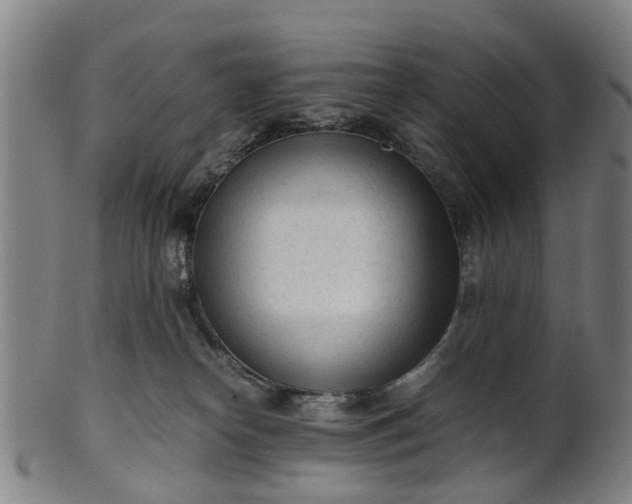 X0000101660182200807241426