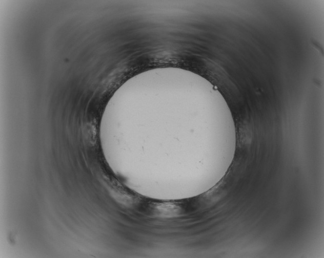 X0000101660183200807241426