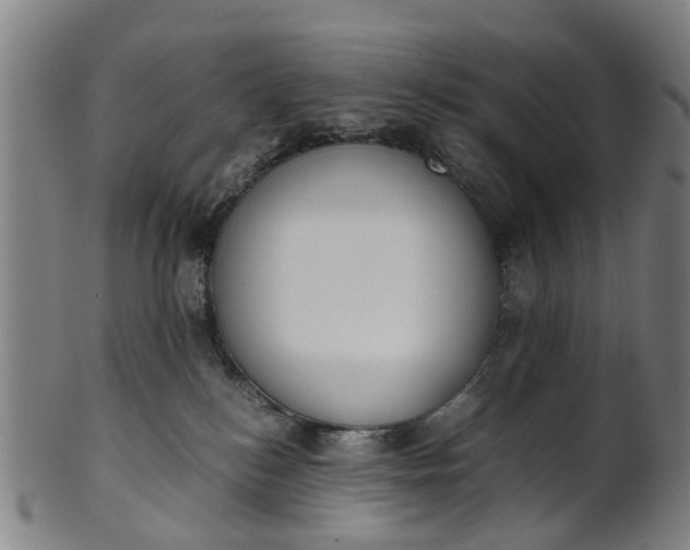 X0000101660184200807241426