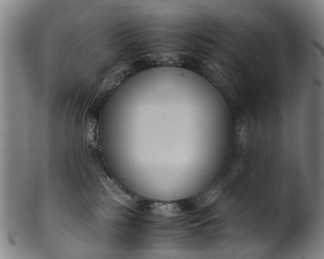 X0000101660185200807241426