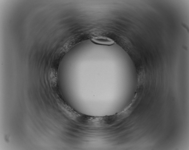 X0000101660186200807241426