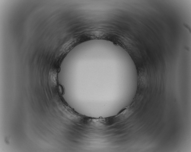 X0000101660188200807241426