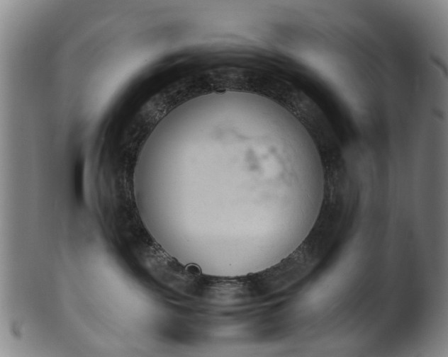 X0000101660189200807241426