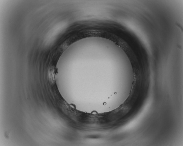 X0000101660190200807241426