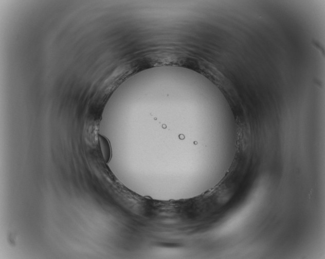 X0000101660191200807241426