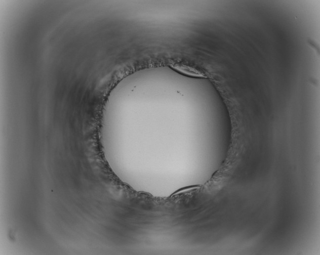 X0000101660192200807241426