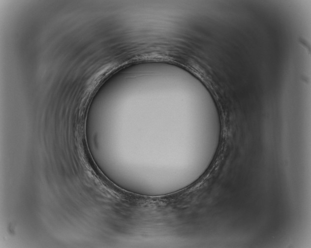 X0000101660193200807241425