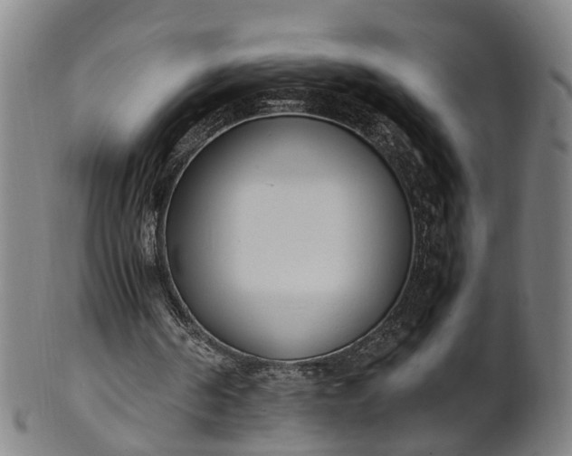 X0000101660194200807241425