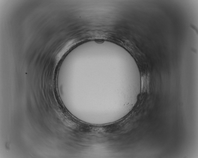 X0000101660195200807241425